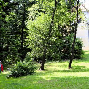 entlang Forchtensteins Wanderwegen_ Annemarie Schreiner-1