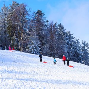 Winterspaß Rosalia_A.SchreinerMittelburgenland-Rosalia