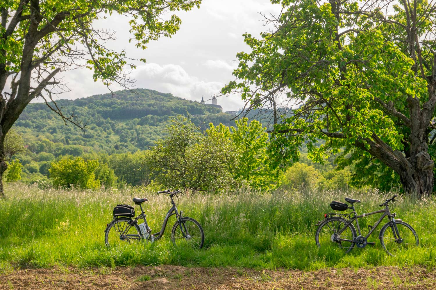 Foro: Radfahren und Wandern in Forchtenstein