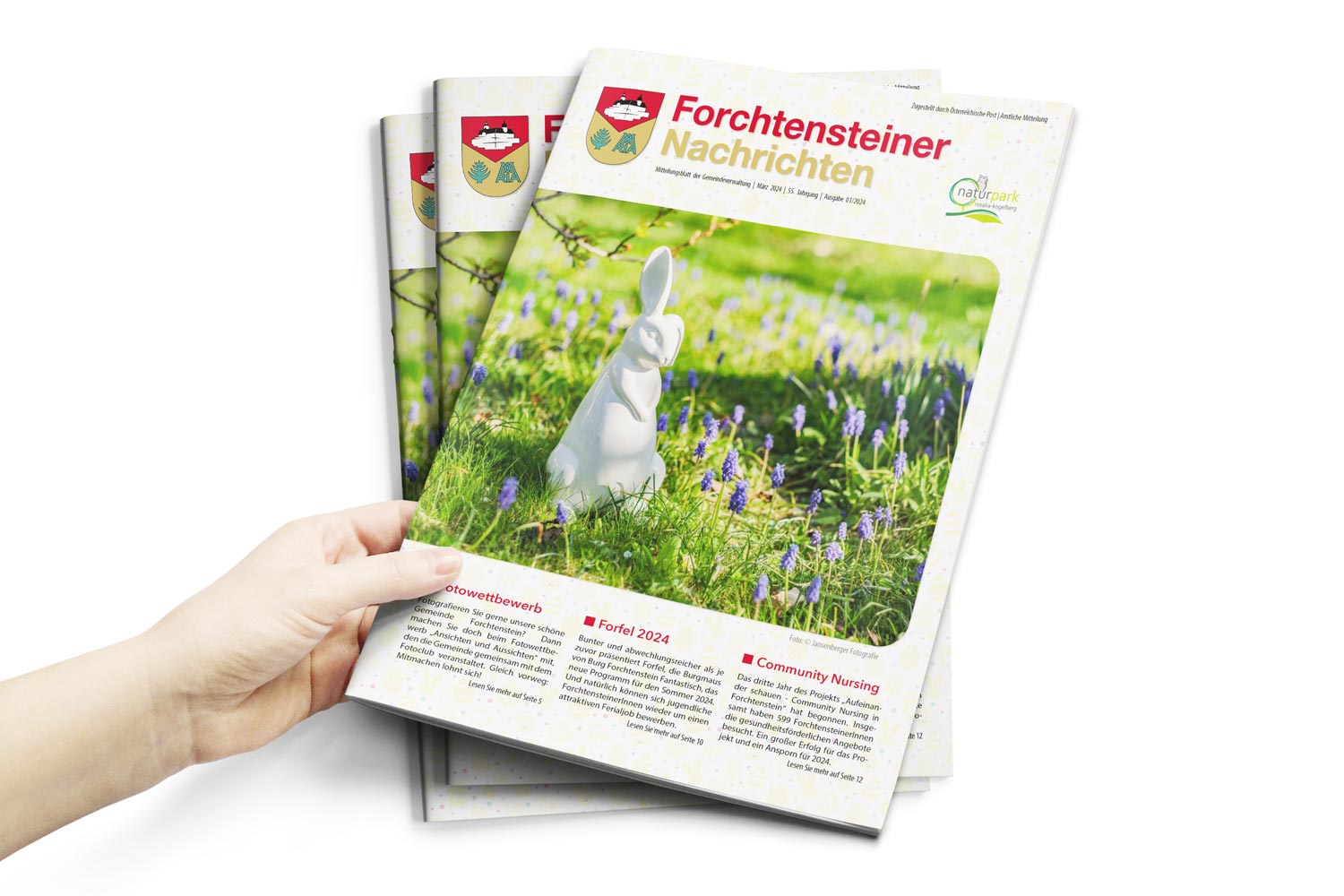 Foto: Gemeindezeitung: Forchtensteiner Nachrichten