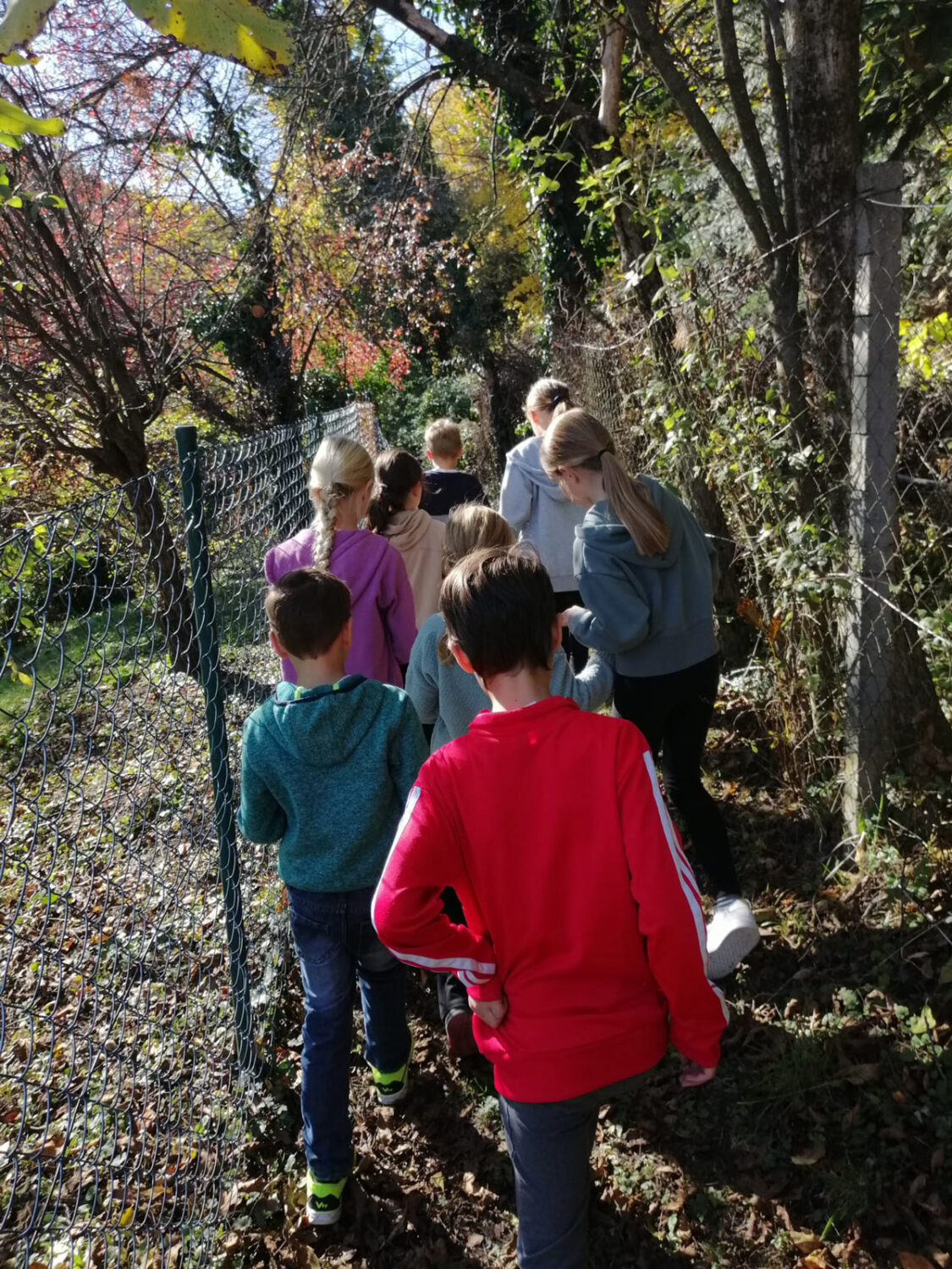 Kinder-Kochworkshop von Birgit Brunner Fotorückblick: Kinder-Kochworkshop von Birgit Brunner