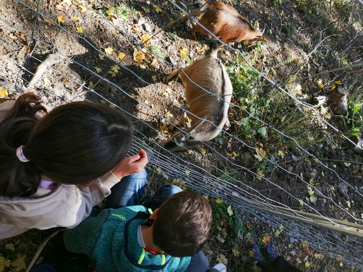 Kinder-Kochworkshop von Birgit Brunner Fotorückblick: Kinder-Kochworkshop von Birgit Brunner